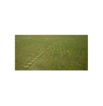 DRABINKA KOORDYNACYJNA SALLER