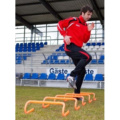 Płotki saller (5 szt) 15 cm