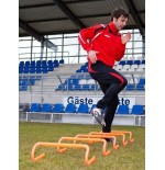 Płotki saller (5 szt) 15 cm