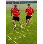 System koordynacyjny saller