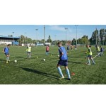 Pachołek treningowy 23 cm