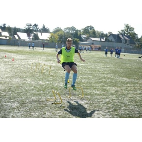 Płotki koordynacyjne 45cm