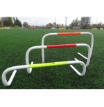 Płotek koordynacyjny samowstający 40 cm