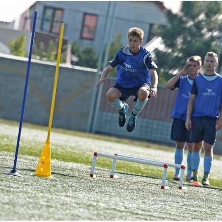 Płotki koordynacyjne PRO - 30cm.